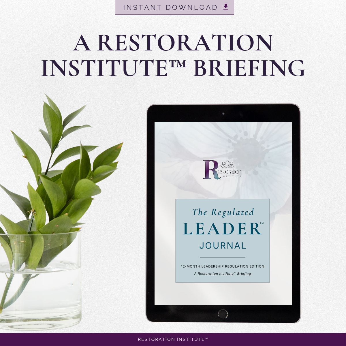 The Regulated Leader™ Journal | 12-Month Leadership Regulation Edition