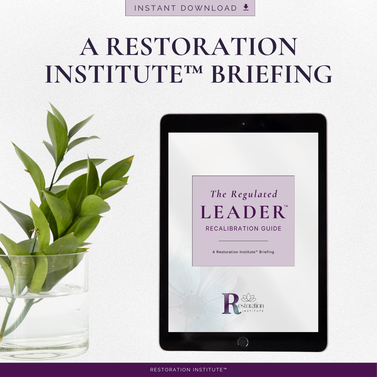 The Regulated Leader™ | Recalibration Guide