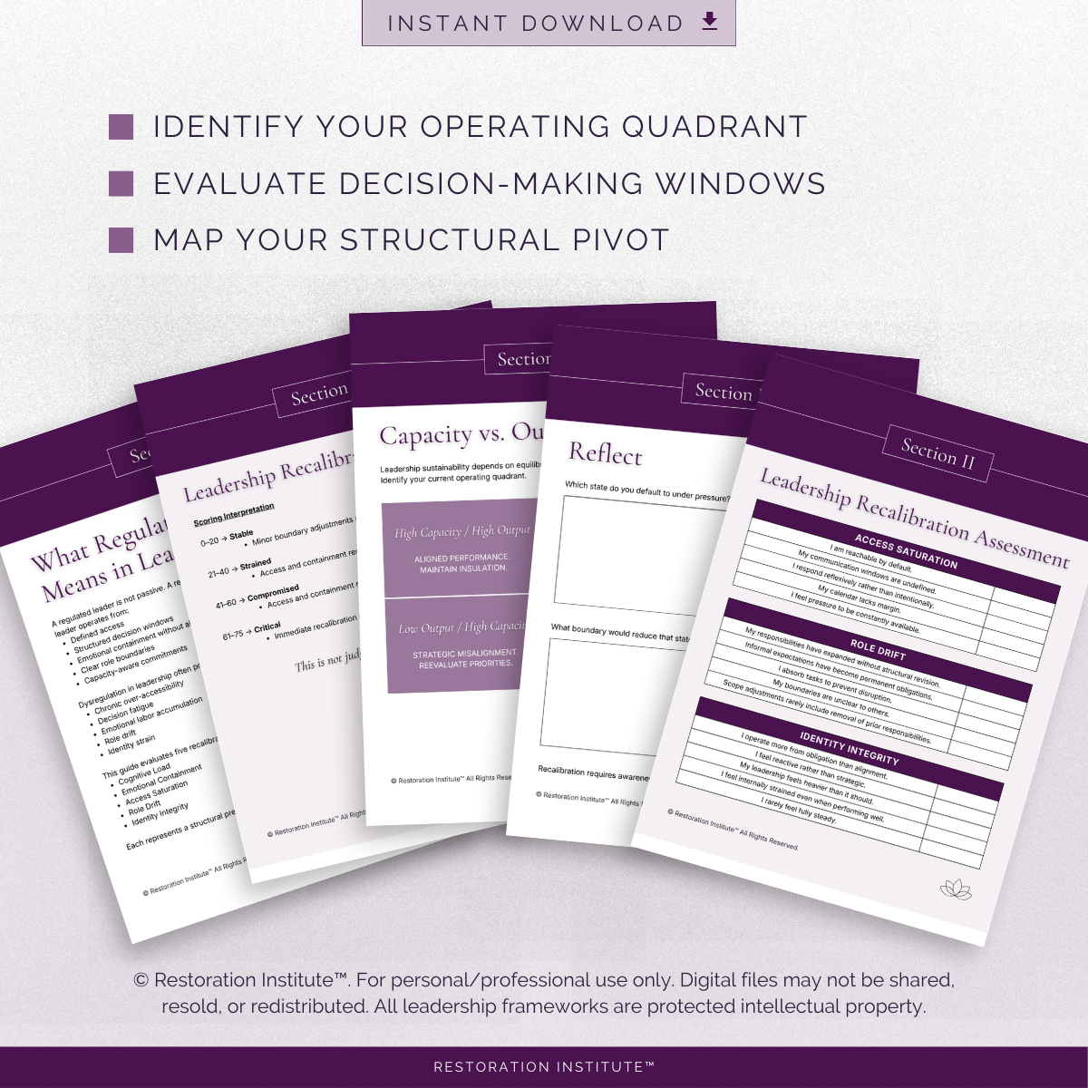 The Regulated Leader™ | Recalibration Guide