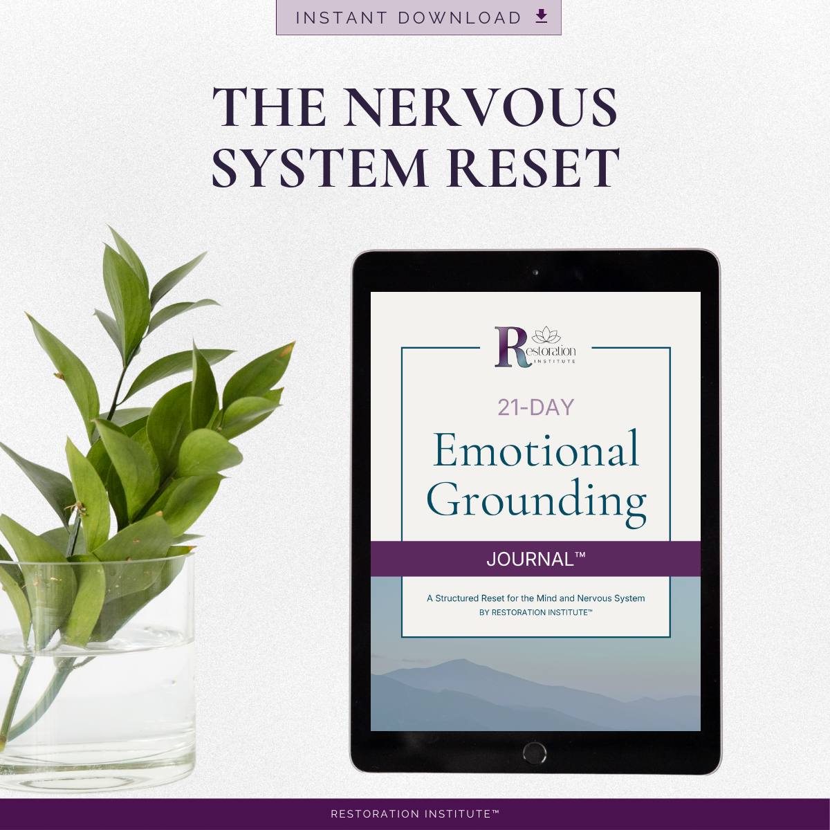21 Days of Grounding™ | Emotional Regulation Journal