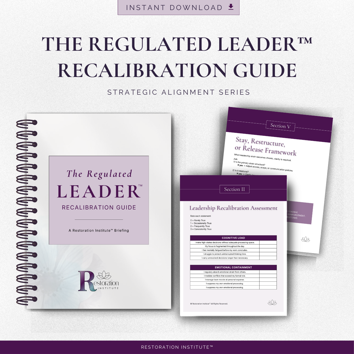The Regulated Leader™ | Recalibration Guide