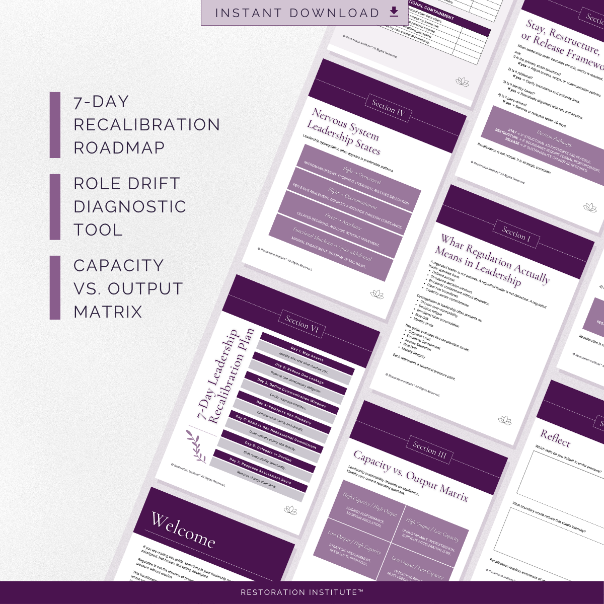 The Regulated Leader™ | Recalibration Guide